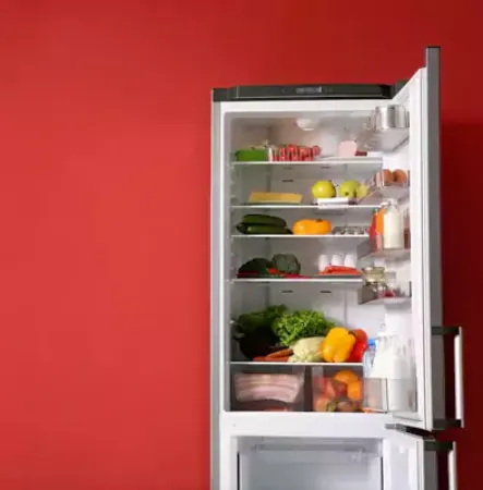 Picture for category Mini Refrigerator